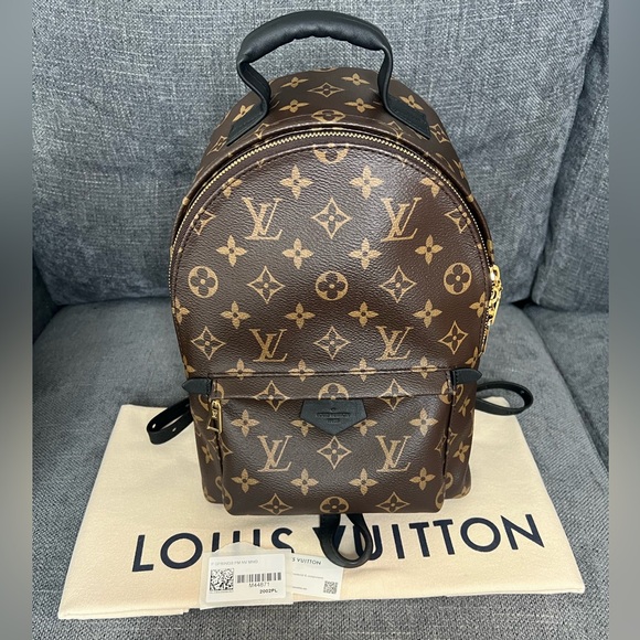 Louis Vuitton Handbags - Louis Vuitton Palm Springs PM NM monogram backpack